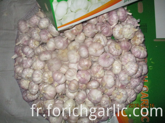 How To Preserve Fresh Garlic